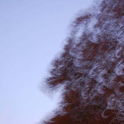 Abstract image of flowing light trails suggesting movement.