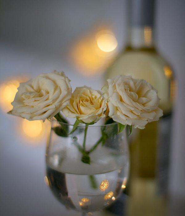 Aesthetic shot of a yoga mat and water bottle in a serene setting.